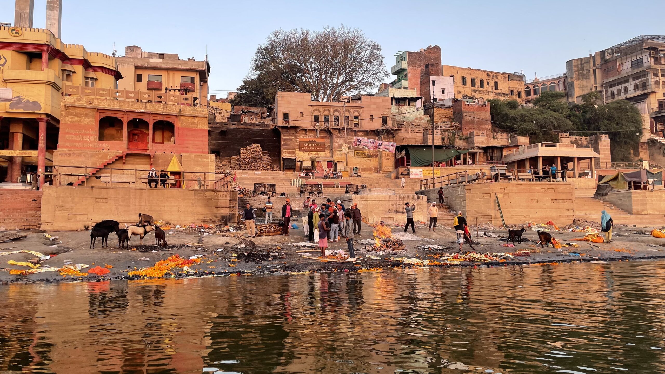 Sponda del Gange
