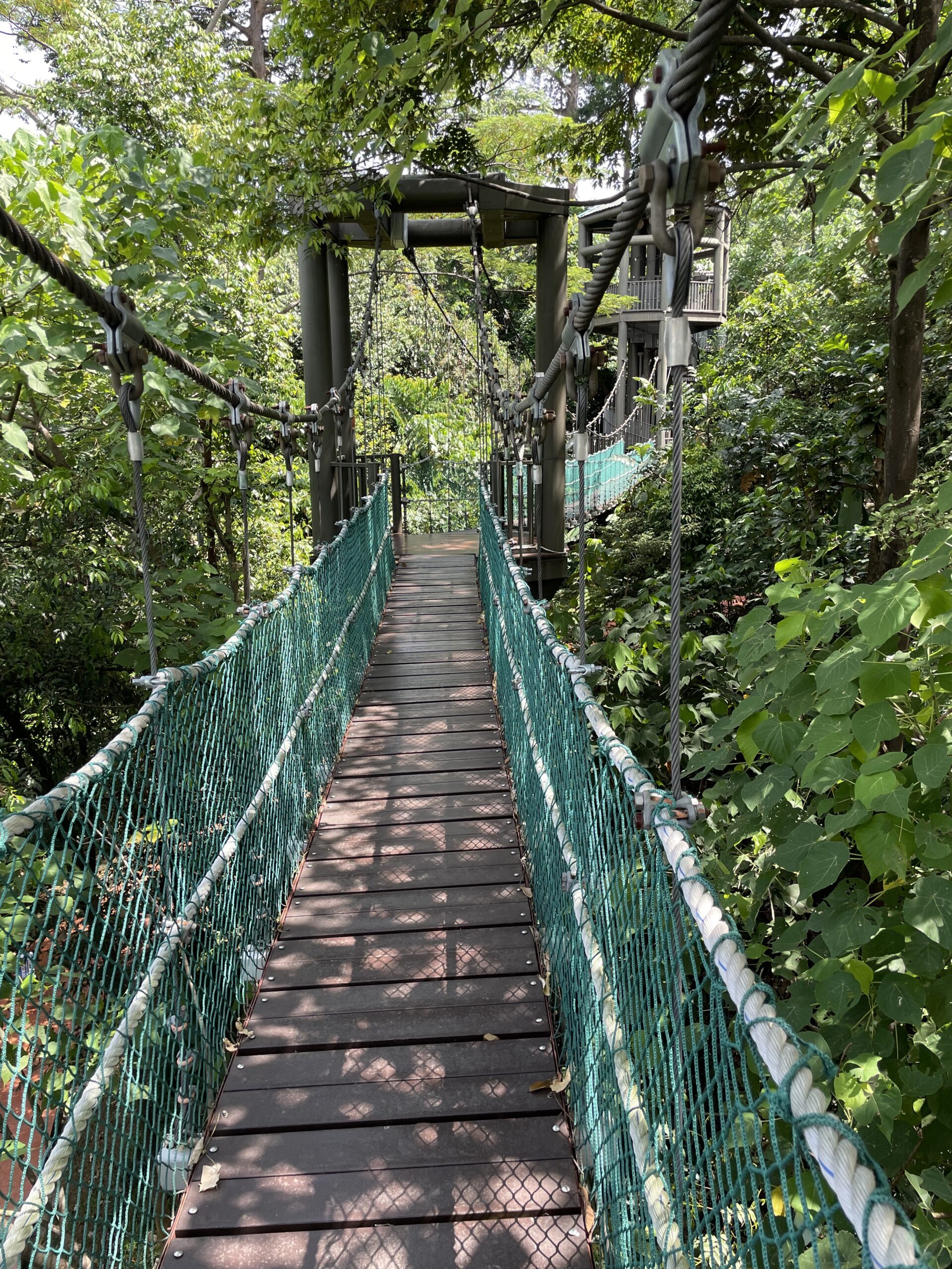 Bukit Ninas ponte sospeso nella foresta in città